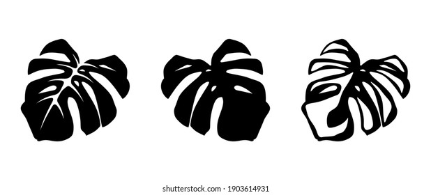 Set of black silhouettes of tropical monstera leaves isolated on a white background. Vector illustration.