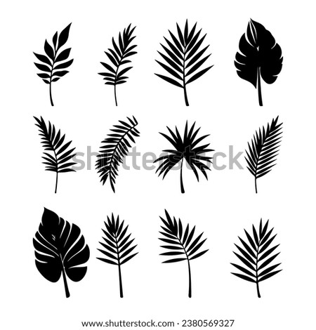 Set of black silhouettes of tropical palm leaves, trees.