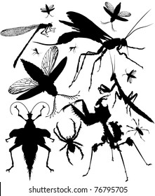 Set of black silhouettes of various insects.