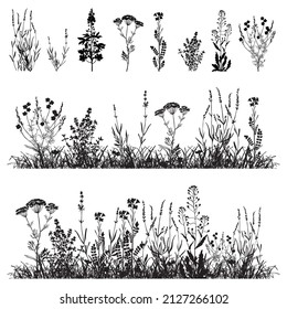 A set of black silhouettes of wild flowers. illustration of flower and grass borders.