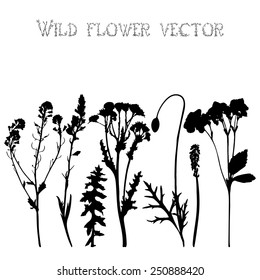 Set black silhouettes of wild flowers and leaves vector illustration