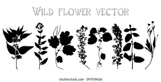 Set black silhouettes of wild flowers and leaves vector illustration