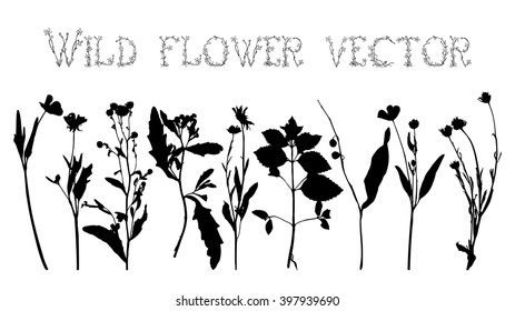 Set black silhouettes of wild flowers and leaves vector illustration