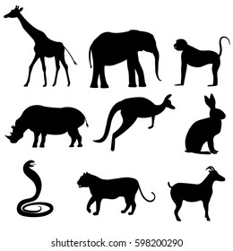 A set of black silhouettes of wild tropical animals such as a mountain goat, a tiger or a lioness, a giraffe, an elephant, a hare or a rabbit, a cobra, a rhinoceros, a monkey, a kangaroo.