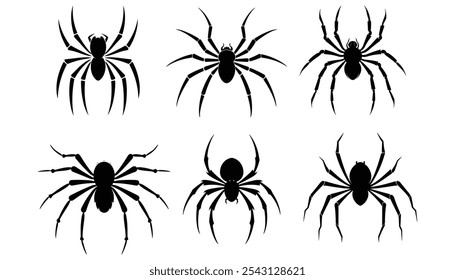 Set of Black Spider Icons Vector Illustrations for Halloween and Nature