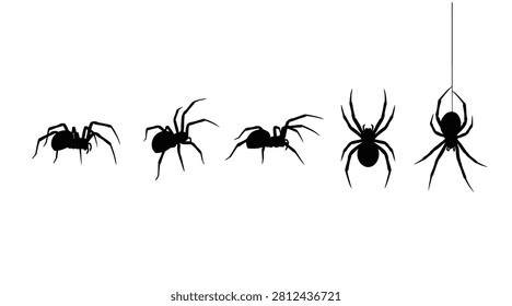 Set of black spider silhouettes isolated on white background. Collection of different spider poses, walking and hanging on a web.