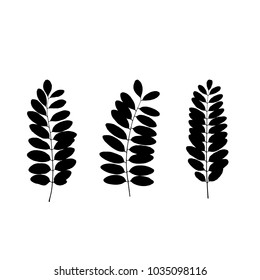 Set of black tree leaf silhouettes. Vector illustration