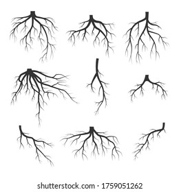Set of black tree roots isolated on white background