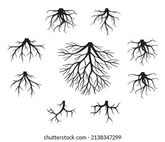 Set black Tree Roots on white background. Vector Illustration. Plant in Garden.