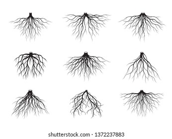 A Set Of Black Tree Roots. Vector Illustration. Plants In Garden. Part Of The Plants Underground.