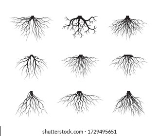 Set of Black Tree Roots. Vector outline Illustration. Plant and Garden.
