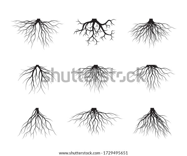 Set Black Tree Roots Vector Outline Stock Vector (Royalty Free) 1729495651