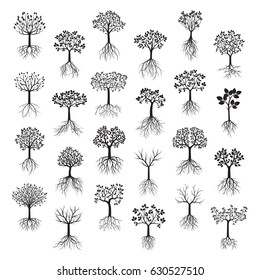 Set Black Trees with Leafs and Roots. Vector Illustration.