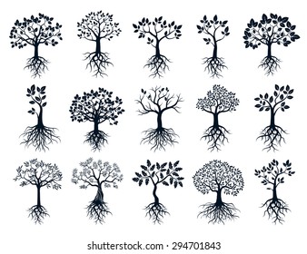 Set of Black Trees and Roots