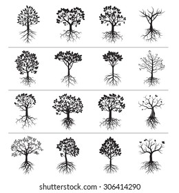 Set of Black Trees and Roots