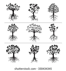 Set of Black Trees and Roots