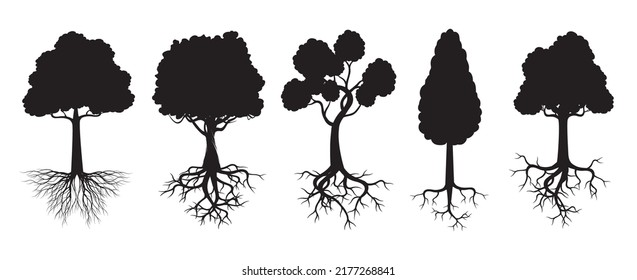Set black Trees with Roots. Vector Illustration.