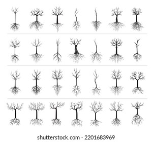 Set black Trees and Roots. Vector Illustration.