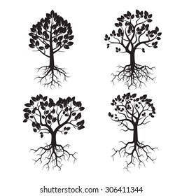 Set of Black Trees and Roots. Vector Illustrations.