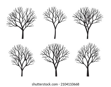 tree outline image