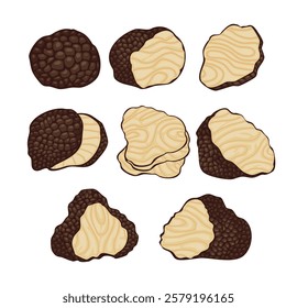 Set of black truffle mushroom collection kit, Fresh sliced truffle. Delicacy exclusive truffle mushroom, Isolated cartoon set icon mushroom, vector illustration.