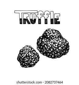 A set of black truffles. Forest edible mushrooms, delicious food, tasty spices. Engraving. Vector illustration isolated on a white background  in a doodle and hand drawn style.