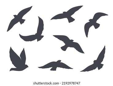 Set of black vector birds silhouettes isolated on white. Simple design elements.