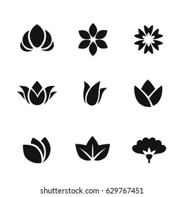 Set of black vector flower and plant icons isolated on white background