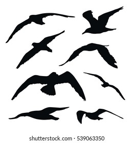 Set of black vector flying birds silhouettes on white background