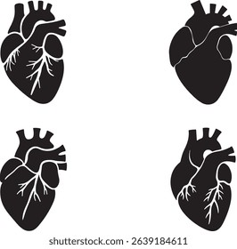 Set Of Black Vector Illustration Of A Human Heart In Anatomical Silhouette Style On White Background