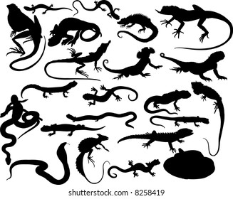 Set of black vector reptiles on the white