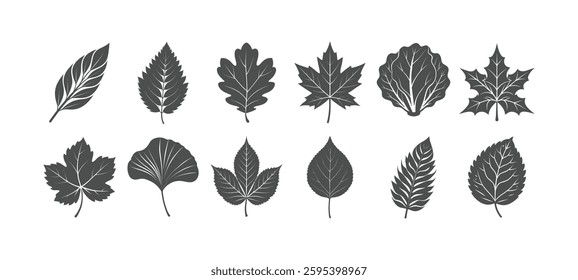 Set of black vector silhouettes of different tree leaves isolated on white background	
