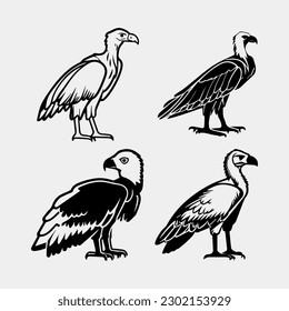 set of Black vultures on a white background. African animals. Vector illustration