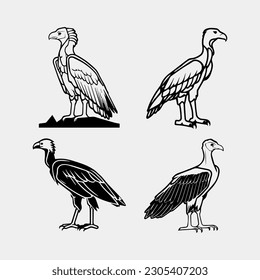 set of Black vultures on a white background. African animals. Vector illustration