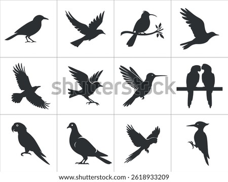 Set of Black and White Bird Silhouettes. Silhouette Collection Diverse Bird Species Flying, Perching. crows, doves, parrots, hummingbirds. birds silhouette