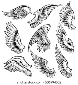 Set of black white bird wings of different shape in open position isolated vector illustration  