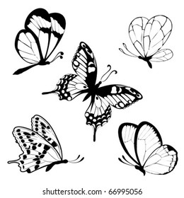 Set  black white butterflies of a tattoo