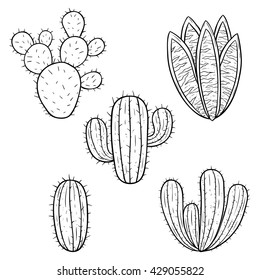 Set of Black and White Cactus With Line Art or Hand Drawing Style