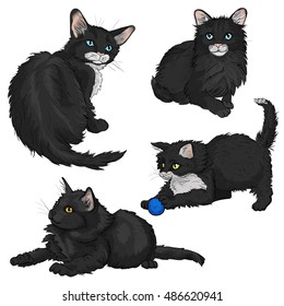 A set of black and white cats and kittens