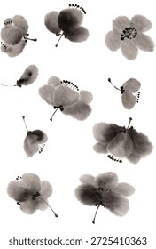 set of black and white cherry blossom flower with Chinese inkwash painting illustration. Floral elements in Traditional style.