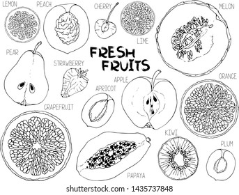 A set of black and white contours of fruit slices: apple, pear, peach, apricot, plum, cherry, kiwi, papaya, orange, lemon, lime, grapefruit, melon, strawberry. Vector illustration, isolated on white.
