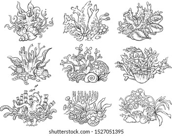 A Set Of Black And White Corals And Other Underwater Creatures, Sea And Ocean Life, Outline Vector