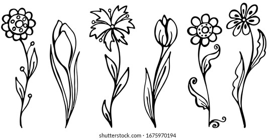 Set of black and white decorative snowdrops. Linear pattern made of decorative flowers and plants nature of wild field and meadow for your design. Vector sketch illustration isolated on white backgrou