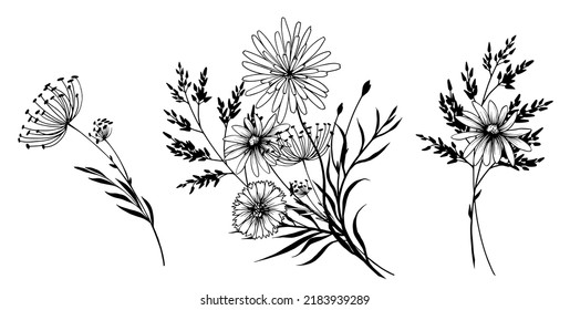 Set of black and white decorative wildflowers bouquets. Hand drawn vector illustration.