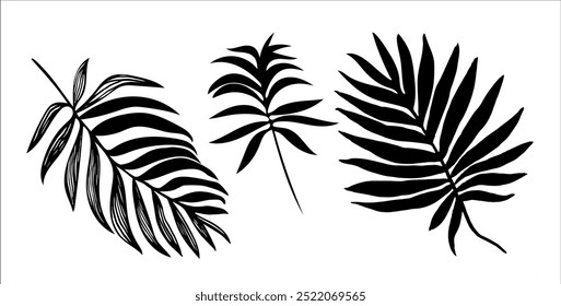 Set of black and white design elements of tropical leaves silhouettes. Perfect for create fashion apparel fabric, trendy package, bedding, wallpaper, accessories, outerwear, cloth textile.