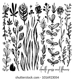 Set of black and white doodle elements, meadow, rose, grass, bushes, leaves, flowers. Vector illustration, Great design element for congratulation cards, banners and others