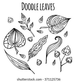 Set of black and white doodle leaves. Vector element for your design.