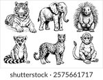 Set of black and white drawings of animals, including a tiger, elephant
