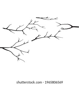 Set Black White Drawings Branches Different Stock Vector (Royalty Free ...