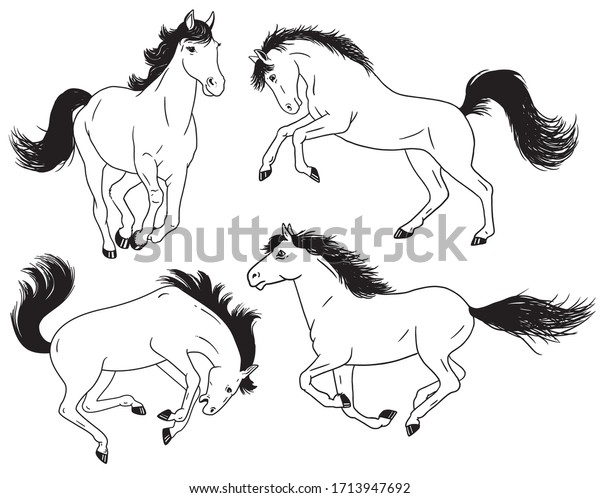 走る馬 飛ぶ馬 跳ぶ馬 飼育する馬の白黒の絵 ベクター画像の輪郭のイラスト のベクター画像素材 ロイヤリティフリー
